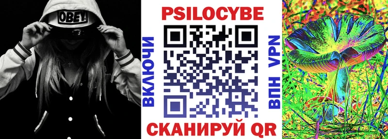 Купить закладки  Струнино  Псилоцибиновые грибы Cubensis 
